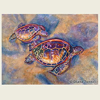 Repose  20 x 28<br>Two green sea turtles resting on the beach at sunset.  Framed in Koa