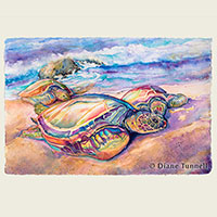 Kukio Bay Sea Turtles<br>Our popular green sea turtles are resting on the beach. SOLD