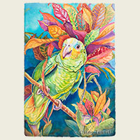 Darwin<br>Orange-winged Amazon parrot with croton leaves. HWS Juried Art Show SOLD