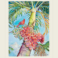 Cardinal and Christmas Palm<br>HWS Juried Art Show SOLD