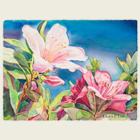 Miraculous Day<br>Azaleas, one magenta and one white are on the same bush symbolizing God's miraculous power. 22 x 30 painting size, framed HWS Juried Art Show