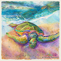 'Aumakua Jewel<br>This is a very contemporary painting of a green sea turtle. 22 x 23 painting size, koa frame
 SOLD