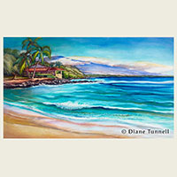 Kohala Gold Coast 20 x 29 <br>Spencer State Beach Park. Framed