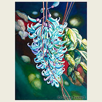 Jade Pendant  28 x 20 <br>Rare blue Jade Vine at the Holuakoa Restaurant In Holualoa, with red ti diffused in the dark background.  Framed